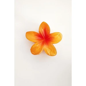 New Obsessions Hibiscus Lüks Asetat Mandal Toka