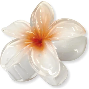 New Obsessions Hibiscus Lüks Asetat Mandal Toka