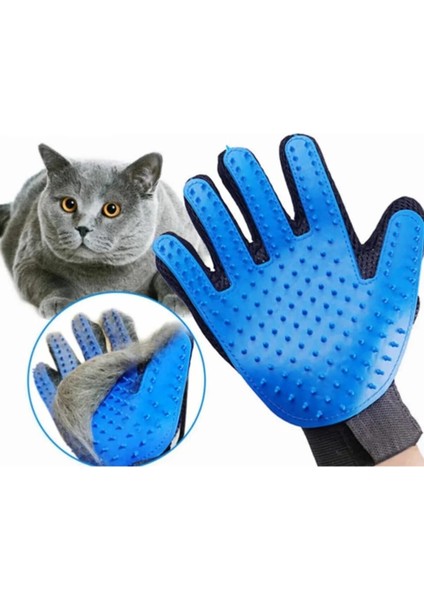 6'lı Kedi Çantası,avokado Kedi Nanesi, Otomatik Temizlenen Kedi Tarağı, Kedi Tüy Toplama Eldiveni, Kedi Matı fırsatları