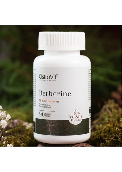 Berberine 90 Tabs