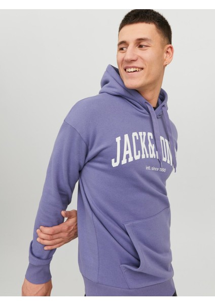 Hood Josh Erkek Mor Kapüşonlu Sweatshirt