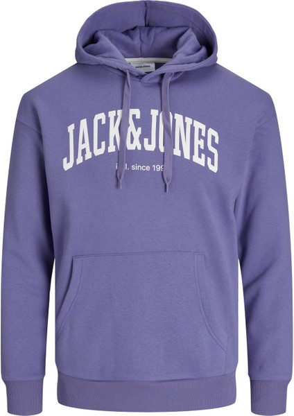 Jack & Jones Hood Josh Erkek Lacivert Kapüşonlu Sweatshirt