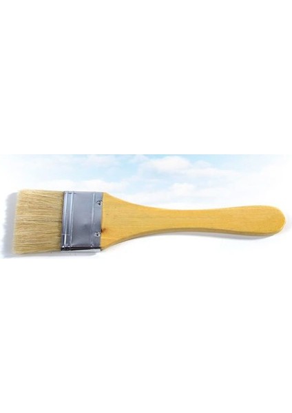 Martol 713 Seri Bristle Kıl Zemin Kırçası No:5