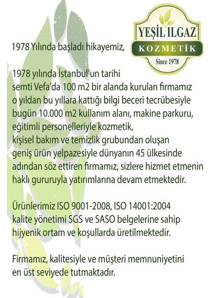 Uçucu Yeşil Nane Yağı 10 Ml Ferahlatıcı Buhurdanlık Kokusu Buhurdanlık Yağı 3 Adet Nane Ortam Kokusu