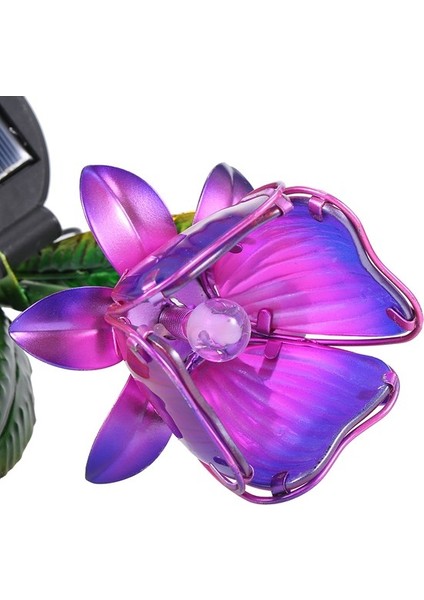 Buyfun Güneş Enerjili Çiçek Işık LED Çim Lambası Dekoratif () (Yurt Dışından) indirimleri