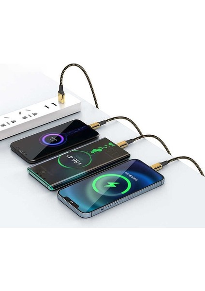 Wiwu Golden Series GD-101 Type-C USB Kablo 2.4A 20W Hızlı Şarj Kablosu 18K Altın Kaplama 120 cm (Yurt Dışından)