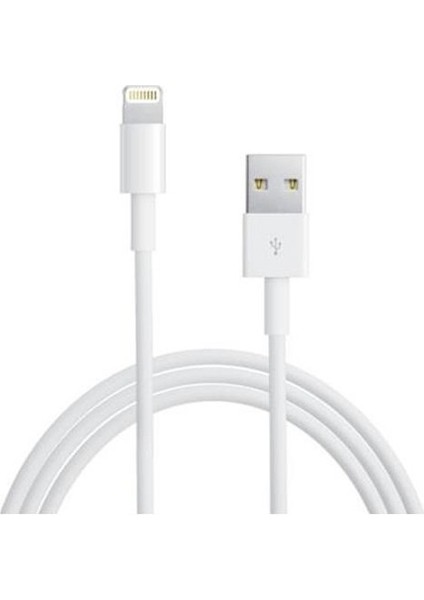 Acl Lightning 2.1 A Hızlı Şarj Kablosu Lightning Data Kablosu (Yurt Dışından)