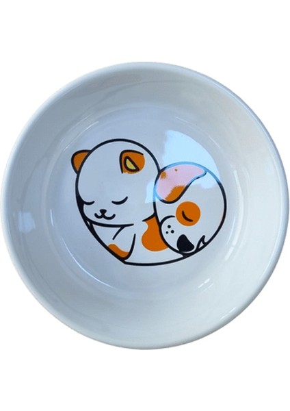 2 Li Yıkanabilir Seramik Mama ve Su Kabı 14 cm 250 ml No:4