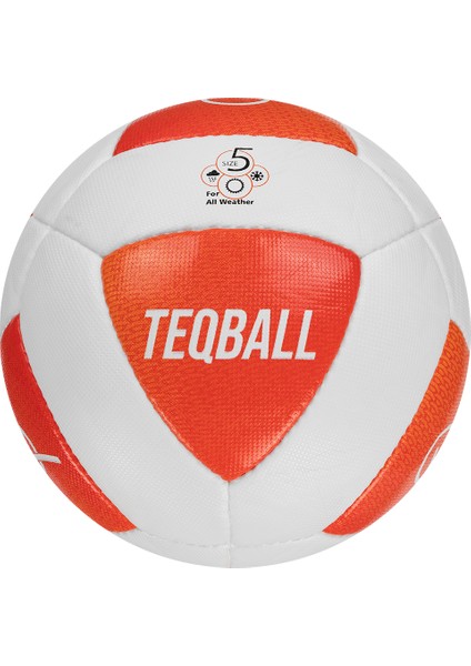 Teq Teqball Topu