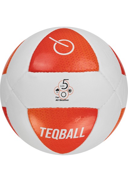 Teq Teqball Topu