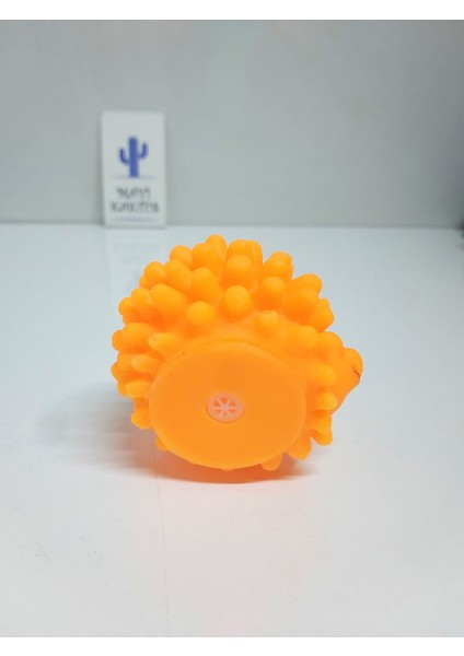 Sesli Köpek Oyuncağı Diş Kaşıyıcı Kirpi Kedi Köpek Oyuncağı fiyatları