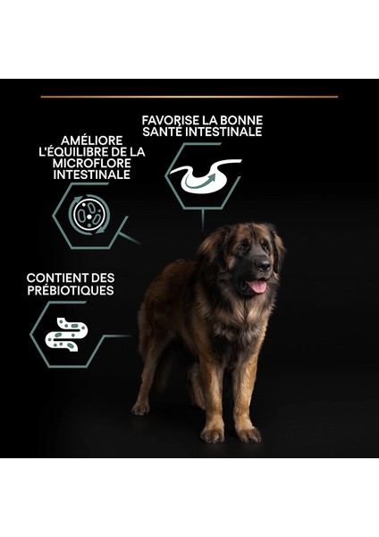 Large Robust Kuzu Etli Büyük Irk Yetişkin Köpek Maması 14 kg fiyatları