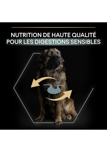Large Robust Kuzu Etli Büyük Irk Yetişkin Köpek Maması 14 kg modelleri