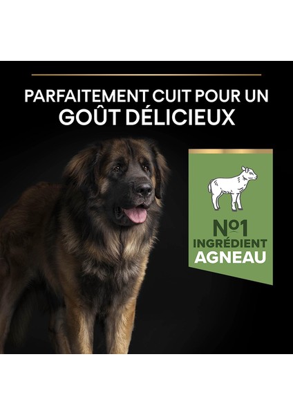 Large Robust Kuzu Etli Büyük Irk Yetişkin Köpek Maması 14 kg fırsatları