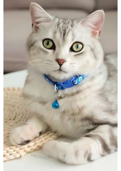 Pati Desen Kedi ve Köpek Boyun Tasması Mavi