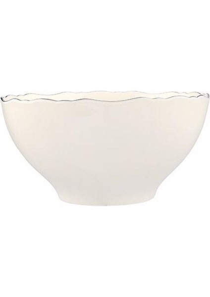 Tide Platin Kase 22 cm fırsatları