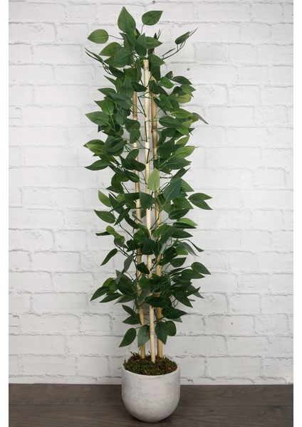 Yapay Çiçek Beton Saksıda Benjamin Salon Ağacı Bitkisi Dekoratif 3 Bambu Gövde Dolgun Yapraklı 105CM