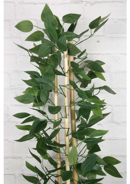 Yapay Çiçek Beton Saksıda Benjamin Salon Ağacı Bitkisi Dekoratif 3 Bambu Gövde Dolgun Yapraklı 105CM fiyatları