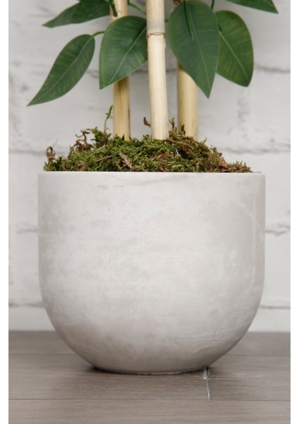 Yapay Çiçek Beton Saksıda Benjamin Salon Ağacı Bitkisi Dekoratif 3 Bambu Gövde Dolgun Yapraklı 105CM fırsatları