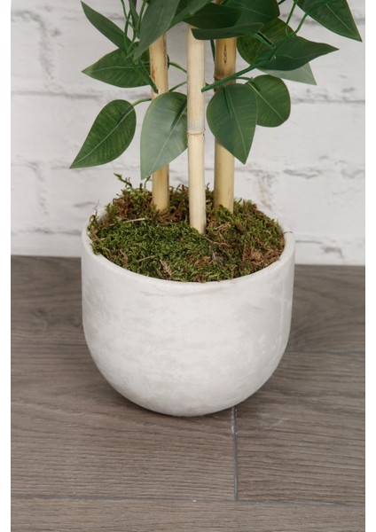 Yapay Çiçek Beton Saksıda Benjamin Salon Ağacı Bitkisi Dekoratif 3 Bambu Gövde Dolgun Yapraklı 105CM indirimleri