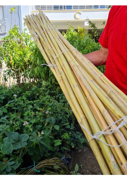 Çermik Fidancılık Bambu Fidan Bitki Destek Çubuğu 50 Adet 170 cm