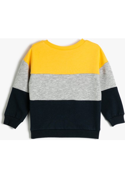 Sweatshirt Renk Bloklu Bisiklet Yaka Pamuklu fiyatları