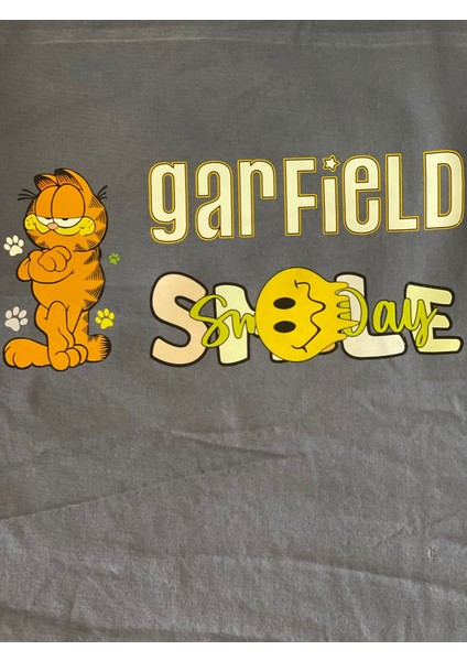 25X12 cm Ütü Ile Yapışan Garfield Smile Transfer Baskı Aplike Arma