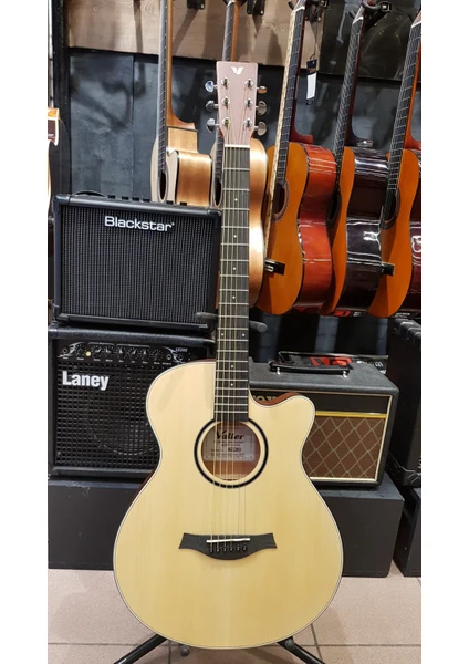 AGX300 Elektro Akustik Gitar