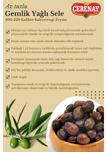 Cerenay Zeytincilik Az Tuzlu Gemlik Yağlı Sele Sofralık Siyah Kahverengi Zeytin 291-320 Kalibre 10 kg