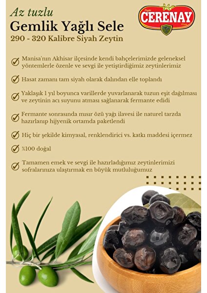 Cerenay Zeytincilik Az Tuzlu Gemlik Yağlı Sele Sofralık Siyah Zeytin 291-320 Kalibre 10 kg