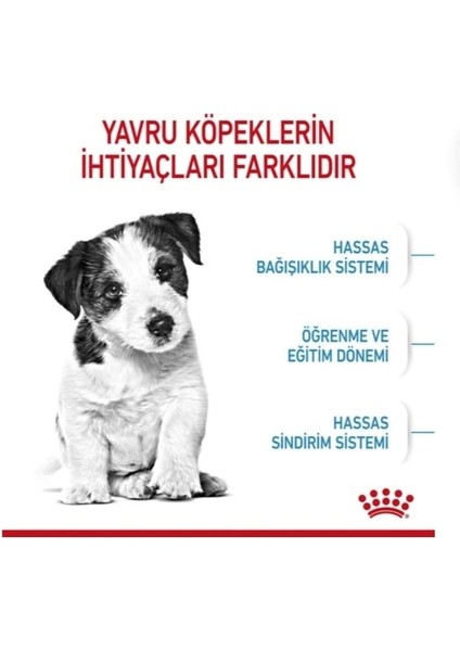 Mini Puppy Küçük Irk Yavru Köpek Maması 4 kg fırsatları