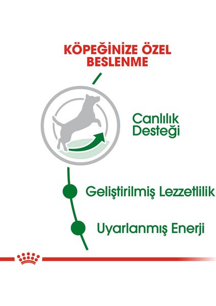 Mini Adult +8 Yaşlı Köpek Maması - 2 kg modelleri