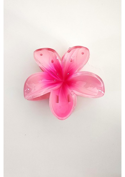 Hibiscus Lüks Asetat Mandal Toka