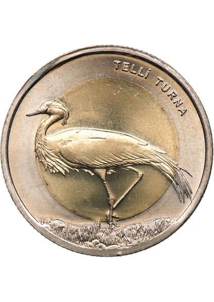 2013 Yılı Telli Turna Darphane Hatıra Bimetal Çil