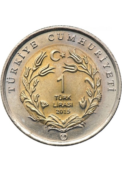 2015 Yılı Anadolu Yaban Koyunu Darphane Hatıra Bimetal Çil fiyatları