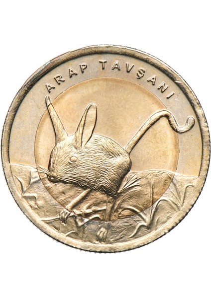 2016 Yılı Arap Tavşanı Darphane Hatıra Bimetal Çil