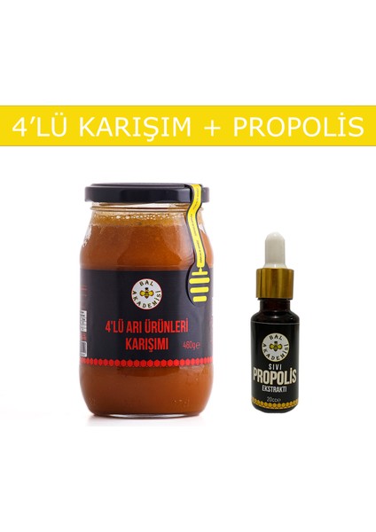 Sağlık Paketi (4'lü Karışım + Propolis)