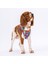 Puzzle Air-Mesh Göğüs Tasması Kedi Köpek Göğüs Tasması Large 1
