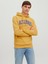 Jack & Jones Hood Josh Erkek Lacivert Kapüşonlu Sweatshirt 2