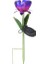 Buyfun Güneş Enerjili Çiçek Işık LED Çim Lambası Dekoratif () (Yurt Dışından) 1