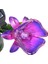 Buyfun Güneş Enerjili Çiçek Işık LED Çim Lambası Dekoratif () (Yurt Dışından) 5