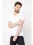 Metalıc Erkek Çok Renkli T- Shirt Regular Fit Rahat Kesim Bisiklet Yaka 5'li Basic Tişört Paketi 6