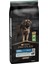 Large Robust Kuzu Etli Büyük Irk Yetişkin Köpek Maması 14 kg 1