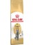 British Shorthair Adult Yetişkin Kedi Maması 2 kg 1