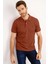 Modern Fit Polo Yaka T-shirt 1