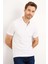 Modern Fit Polo Yaka T-shirt 1