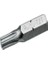 RBT0009 T9X25 Torx Bits Uç Retta 1