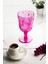 Akrilik Pembe 6'lı Kadeh & Su Meşrubat Kahve Yanı Bardağı 450 ml 4