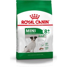 Royal Canin Mini Adult +8 Yaşlı Köpek Maması - 2 kg