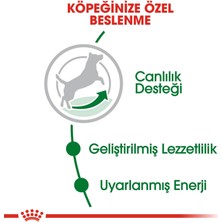 Royal Canin Mini Adult +8 Yaşlı Köpek Maması - 2 kg